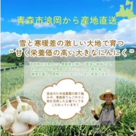 青森県産黒にんにく　100g×5個_野菜 にんにく・生姜 根菜 ニンニク にんにく しょうが ショウガ_【1389463】