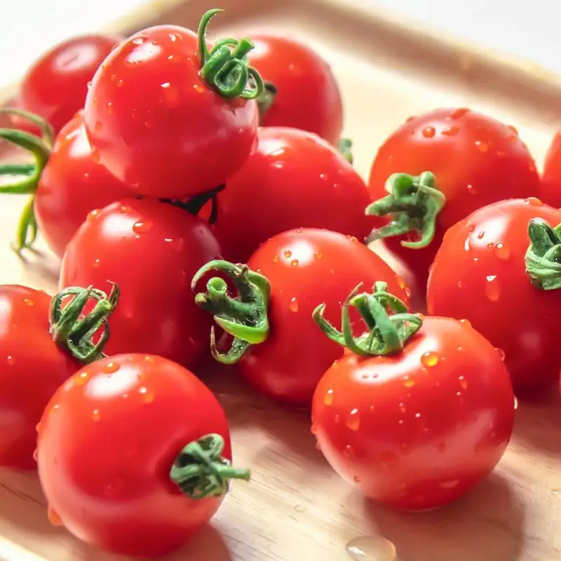 山口さんちの中玉トマト 約2kg シンディースイート 宮崎県西都市産とまと【先行予約】＜2-8a＞★