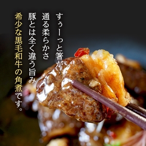 【 黒毛和牛 】 角煮 500g 250g×2パック 牛肉 角煮