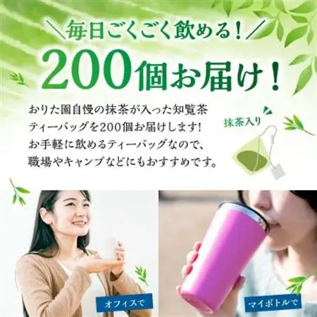お徳用抹茶入知覧茶ティーバッグ100個入り2セット【1186080】
