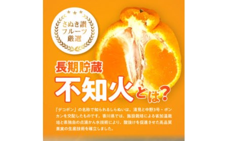 数量限定【5月以降出荷】夏季まで美味しさを保つ、長期貯蔵「不知火」約5kg