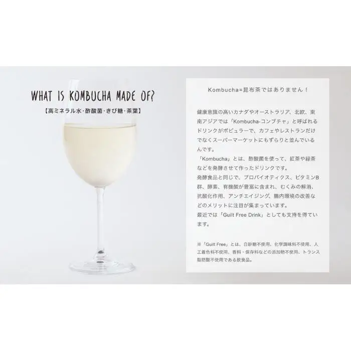 美味しく楽しめる！+KombuchaのKombucha　4本セット