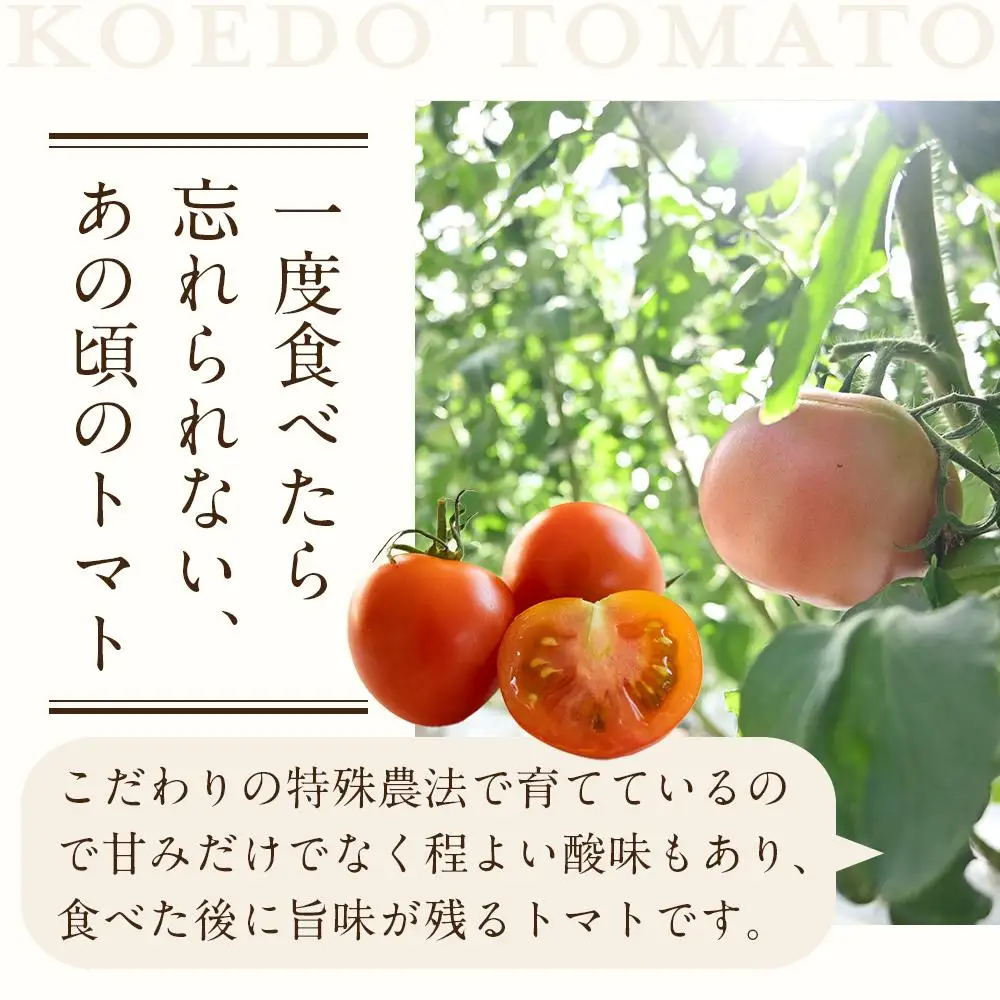  ＠FARMトマト加工品セット ／ トマトジュース パスタソース ケチャップ 埼玉県