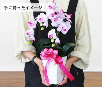 01 造花 シルクフラワーのミニ胡蝶蘭の鉢植 3本立 CT触媒 ライトパープル ／ お花 コチョウラン 埼玉県
