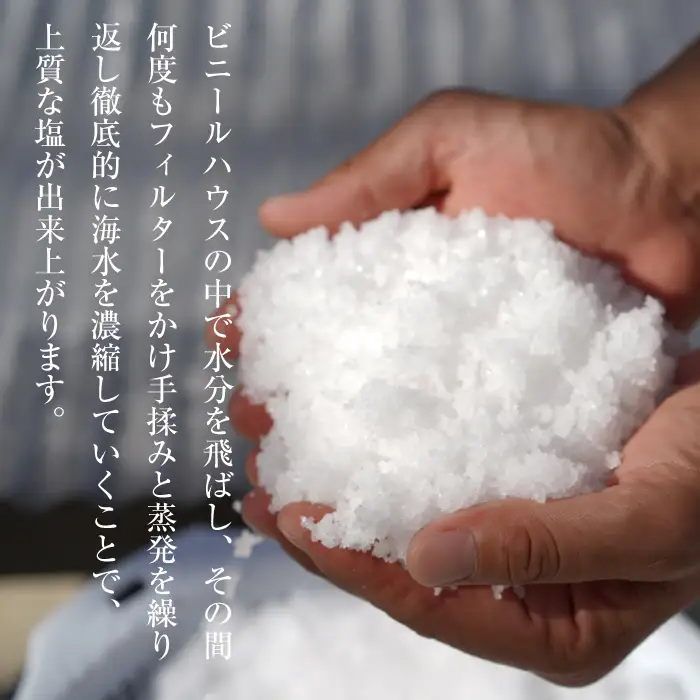 淡路島海塩 TEN-PI-EN 大粒パウダーセット 50g×4袋