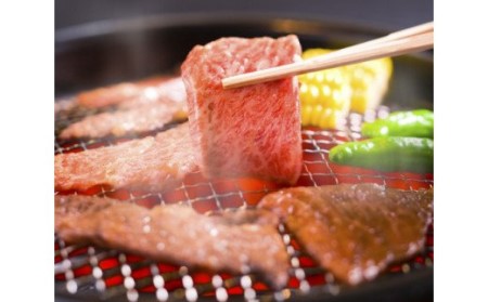 伊万里牛 A５ 赤身 焼肉用 500ｇ 015-J627