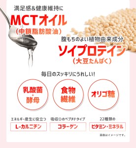 DHC プロティン ダイエット MCTプラス ( 15袋入 ) 2個セット