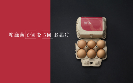 【定期便3回】見た目も旨みも想像以上・箱庭たまごの「箱庭茜」6個 