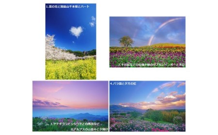信州上田癒しの風景　写真家岡田光司　W4切サイズ額付きオリジナルプリント 16