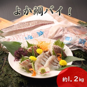 真鯛1匹柵どり済みで刺身・焼物・煮物に扱いやすさ抜群！よか鯛バイ！【B9-020】