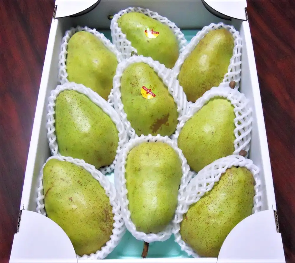 西洋梨（バラード）３ｋｇ　ご家庭用　0017-2613