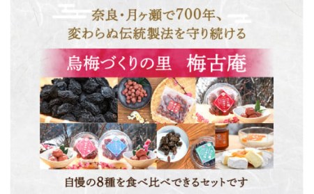 梅 梅干し 日本唯一！烏梅職人手づくり 七百年の伝統 本物梅づくし（梅）味比べ8点セット 無添加 36-003