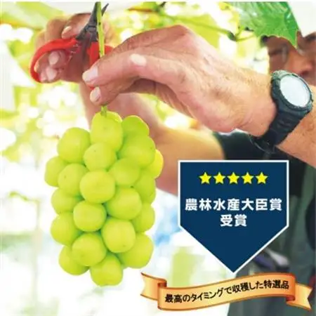 【2026年発送 】生産者直送『万力』極上シャインマスカット2房　計1kg～1.2kg程度【配送不可地域：離島】【1137178】