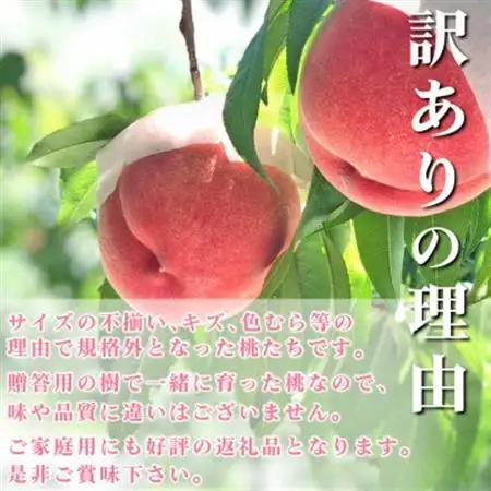 2026年発送【訳あり】桃 2kg 以上 (5～8玉) フルーツ王国・山梨県から産地直送【配送不可地域：離島・沖縄県】【1137263】