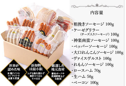 37-13B BADEN　BADEN　ソーセージ・ハム10点セット