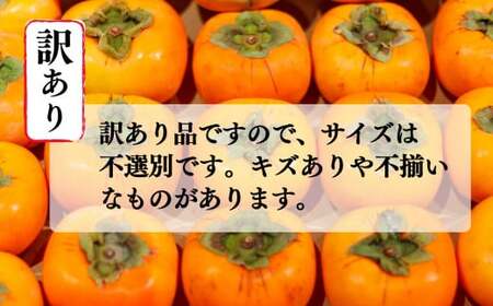 たねなし 柿 訳あり サイズ MIX 約 7kg | 田中農園 たねなし柿 | 奈良県 五條市