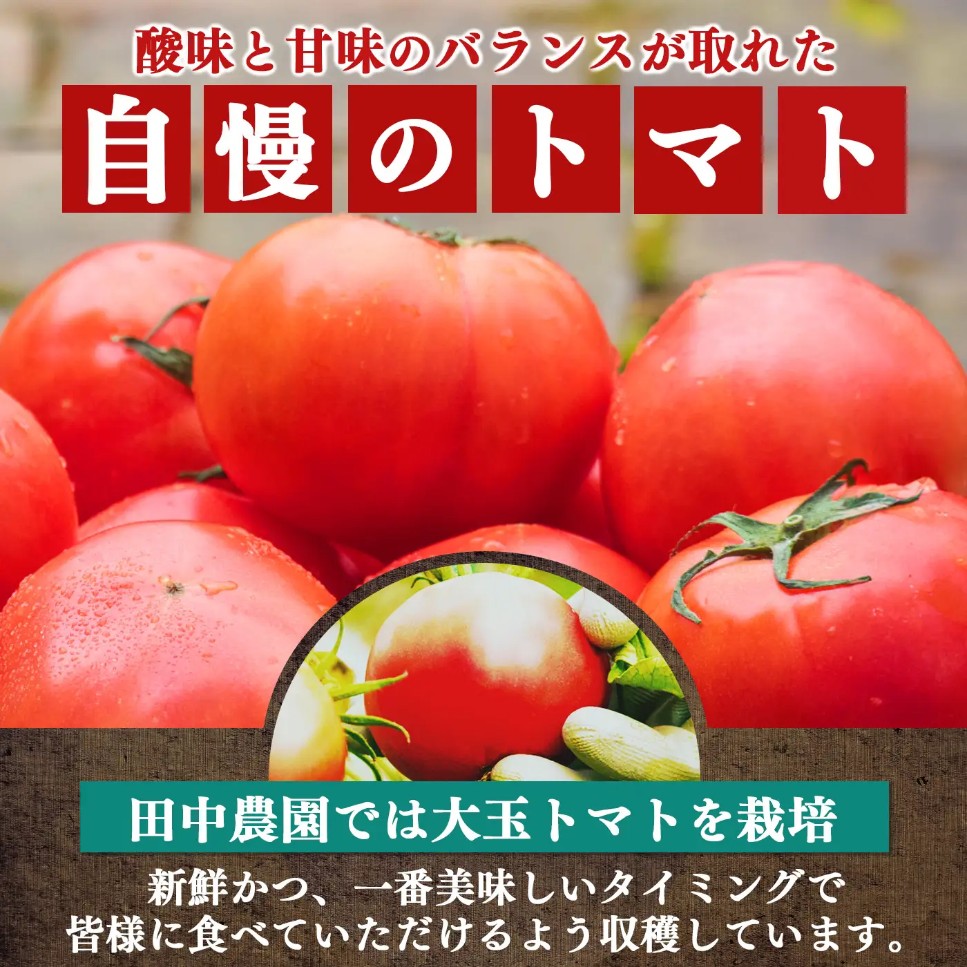 トマト約4kg 23玉～25玉   | ヤサイ 野菜 やさい トマト とまと 野菜 大玉 | 奈良県 五條市
