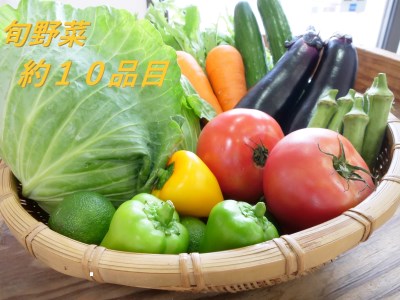 ＜京都産＞木津川市でとれた野菜詰め合わせを１２か月毎月送ります！ 野菜 やさい 詰め合わせ 定期便 野菜詰め合わせ 野菜定期便 新鮮 旬の野菜 季節の野菜 京野菜 産地直送 農産物直売所 12か月 12回　038-01