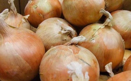 淡路島産玉ねぎ 3kg　◆配送令和8年5月中旬～