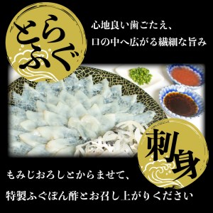 とらふぐ刺身 鍋 一汐干し 2人前冷凍 ふぐセットふぐセットふぐセットふぐセットふぐセットふぐセットAU