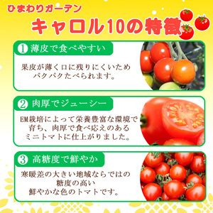 【2026年7月中旬より順次発送開始予定】 岩手県産 EM栽培 ミニトマト キャロル10 約3kg ／ とまと ミニ トマト みにとまと プチトマト EM em栽培 em 新鮮 旬 お弁当 夏野菜 旬野菜 季節野菜 期間限定 季節限定 産地直送 農家直送 直送 季節物 国産野菜 おすすめ ひまわりガーデン