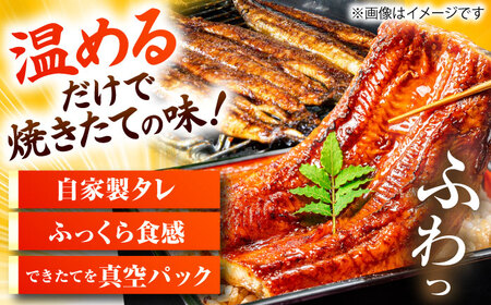 うなぎ 国産活うなぎ蒲焼（1本入） [AICQ002] 
