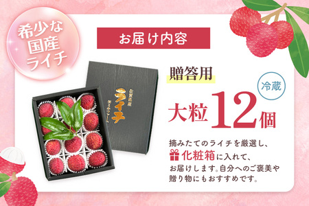 【先行受付】佐賀県産ライチ 大粒12個入(贈答用) K060012