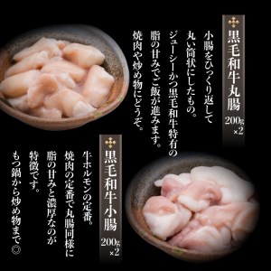 牛 もつ （ ホルモン ） 食べ尽くし ！ オールスター セット K002-008 肉 牛肉 冷凍