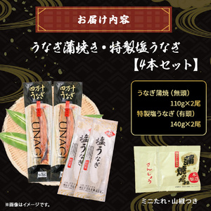 うなぎ蒲焼き・特製塩うなぎ 4本セット ( 110g×2尾 , 140g×2尾 ) 鰻 蒲焼 国産 冷凍 四万十 土用の丑の日 ／Esu-120