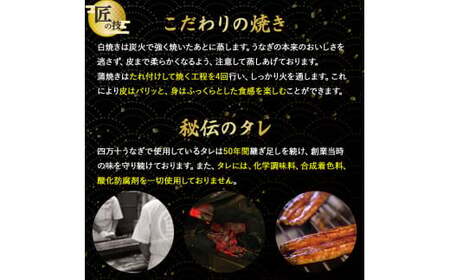 うなぎ蒲焼き（160g×2本セット） 国産うなぎ 鰻蒲焼 土用の丑の日 ／Esu-124