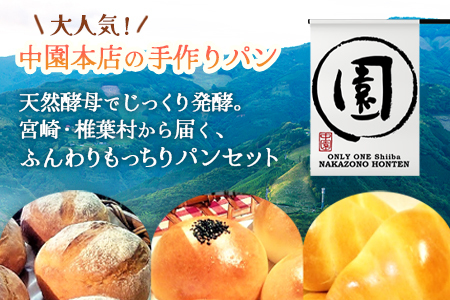 【秘境・椎葉村の愛されパン屋さん】 天然酵母パン 詰め合わせ 7種10個セット パン 天然酵母 詰め合せ セット メロンパン あん塩 バターロール おさつ ブレッド デニッシュ ミニ食パン レーズン バターロール NF-26