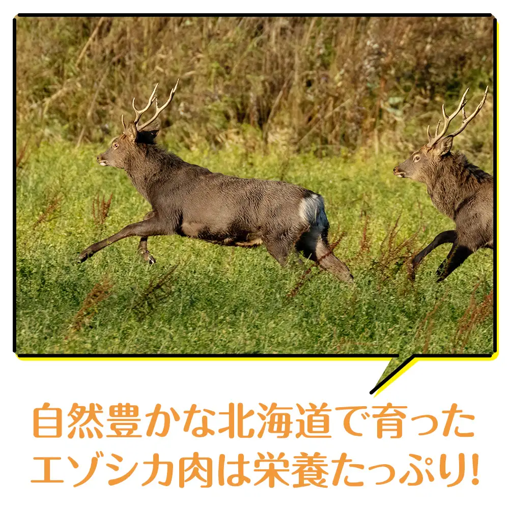 犬 おやつ 無添加 国産 エゾ鹿 アキレス ジャーキー (100g)