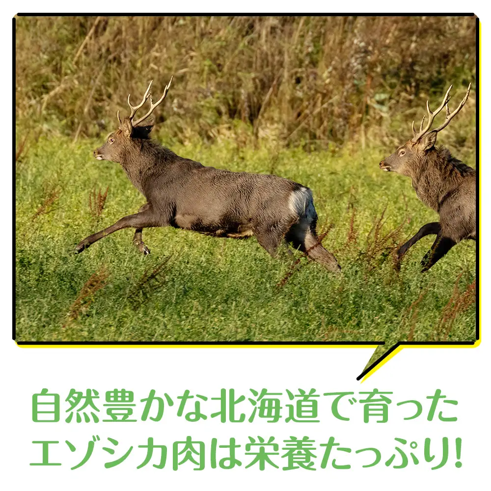 犬 おやつ 無添加 国産 エゾ鹿 アキレス 腱 (50g)