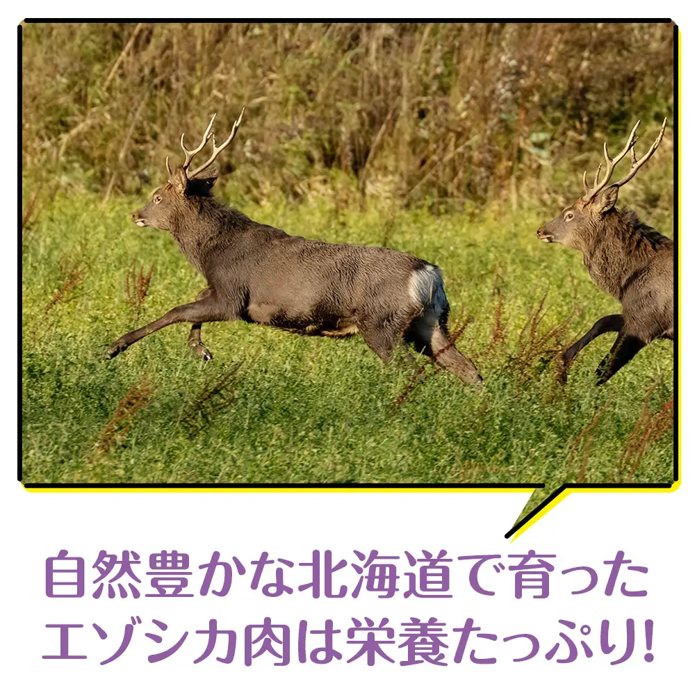 犬 おやつ 無添加 国産 骨 エゾ鹿 肉付き アバラ骨 (150g)
