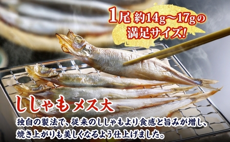北海道産ししゃもメス大30尾 北海道 稀少 魚シシャモ メス おつまみ 魚貝類 干物 本物 人気 希少 塩 味付け 脂のり 旨み 美味しい 大きい 