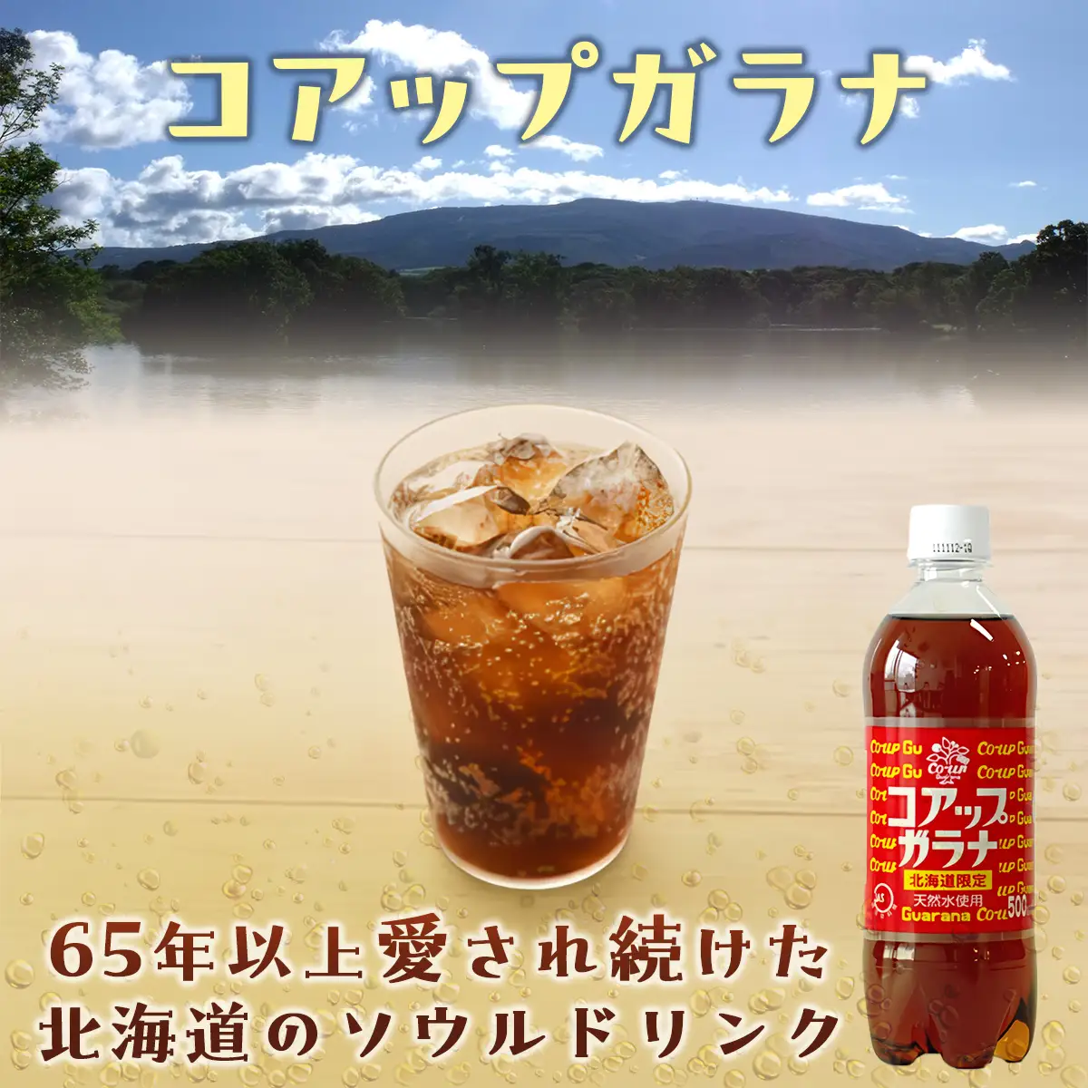 コアップガラナ24本セット（500mlペットボトル） NAQ003