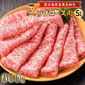 鹿児島県産黒毛和牛リブロース肉（5等級） K171-002 肉 牛肉 冷凍