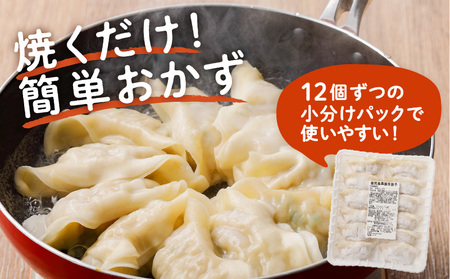 国産素材にこだわった黒豚餃子120個 K111-015 肉 豚肉 惣菜 総菜 冷凍