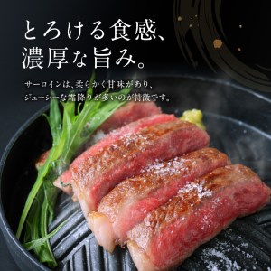 黒毛姫牛 サーロイン ステーキ 360g K328-001 肉 牛肉 冷凍