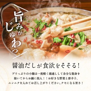 鹿児島県 産 黒毛和牛 もつ 鍋 セット K328-011 肉 牛肉 冷凍