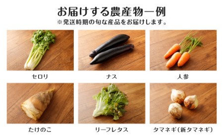 A7 　旬の農産物セット