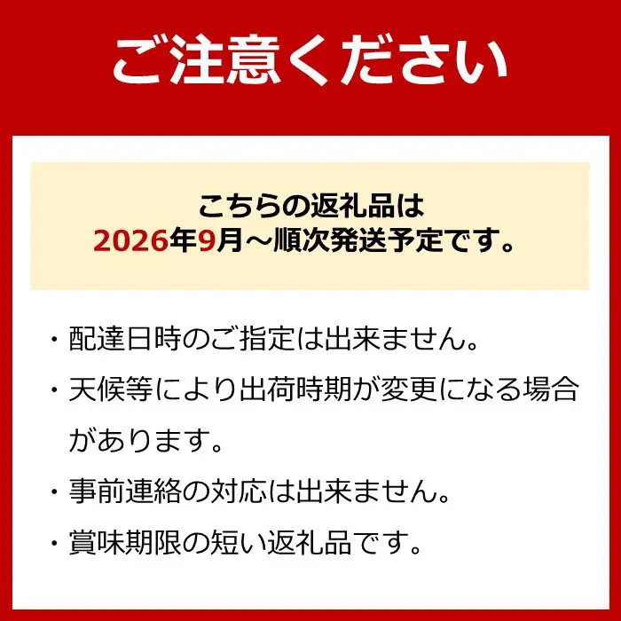 シャインマスカット、豊水梨　詰め合わせ約2kg箱