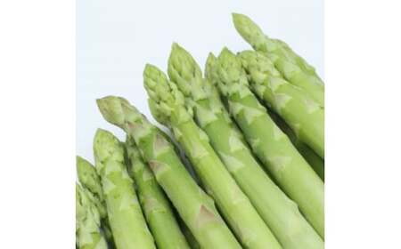 【先行受付】厳選!グリーンアスパラ約1kg（L ～2Lサイズ混載） 【 ふるさと納税 人気 おすすめ ランキング アスパラ アスパラガス グリーンアスパラ 春野菜 野菜 旬 北海道 大空町 送料無料 】 OSA014