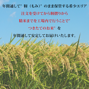 【令和7年産】食味ランキング特A評価 茨城県産コシヒカリ 宝蔵米 10kg（5kg×2）（CZ-1002）