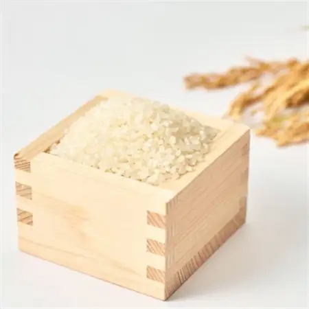 増山城御城印・戦国米(5kg)セット_精米 米_【1219502】