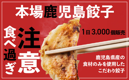 【5営業日以内に発送】鹿児島人気餃子店のお得な餃子食べ比べセット K118-001 肉 豚肉 惣菜 総菜 冷凍 スピード配送 最短 すぐ届く お急ぎ