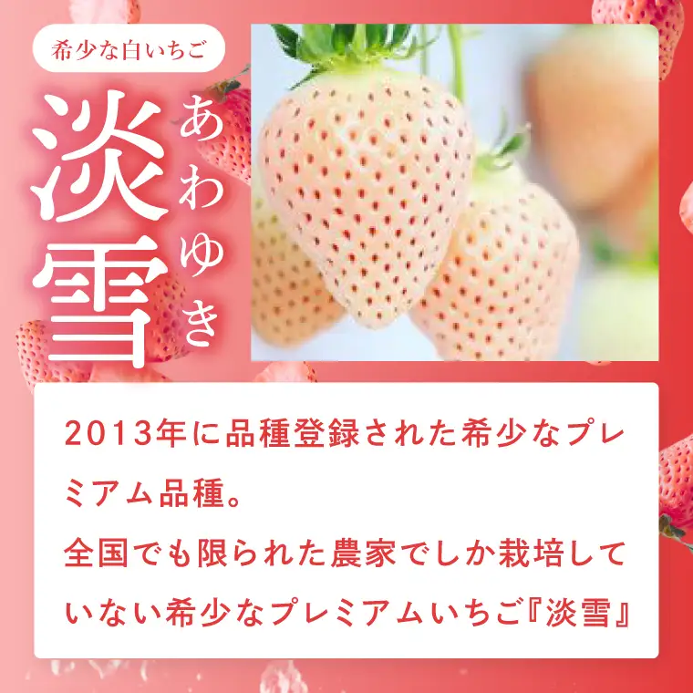【数量限定】冷凍いちご 希少なプレミアム白イチゴ『淡雪』1kg入×2袋 合計2kg オリジナルレシピ有り（DO-1）