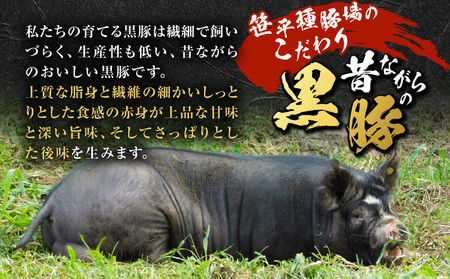種豚場 がお届けする 鹿児島伝統 の 黒豚 黒胡椒 の効いた 黒豚ウインナー K125-002 黒豚 黒豚ウインナー ウインナー 黒胡椒 さっぱり 肉 ごはん 笹平種豚場 ふるさと納税 鹿児島 おすすめ ランキング プレゼント ギフト