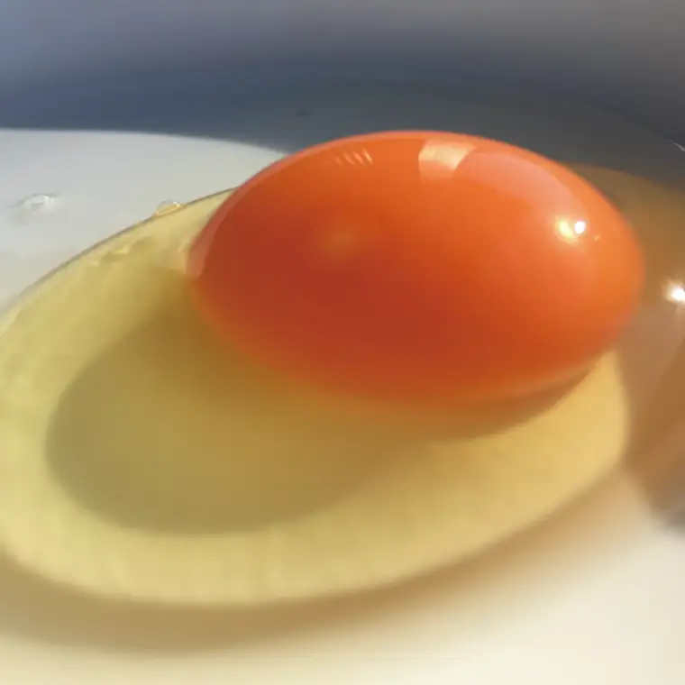 たまご 定期便 30個 年12回 黒麹育ちの赤たまご BC003