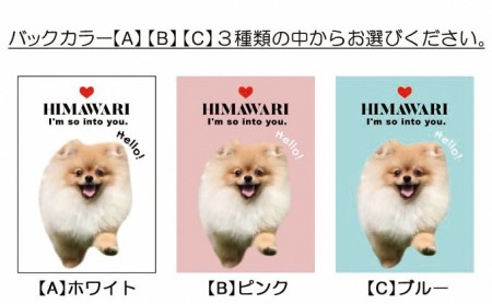 ペットの可愛いお写真をキーホルダーに♪うちの子アクリルキーホルダー（デザインA） 【A】ホワイト